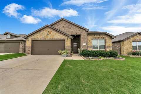 613 Ridge View Way, Justin, TX 76247