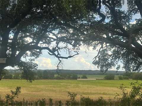 495 CR 468, De Leon, TX 76446