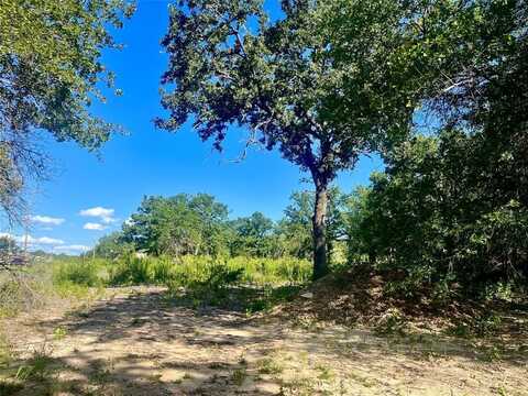 1051 Rose Ct, Nemo, TX 76043