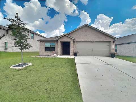 239 Drifter Drive, Newark, TX 76071