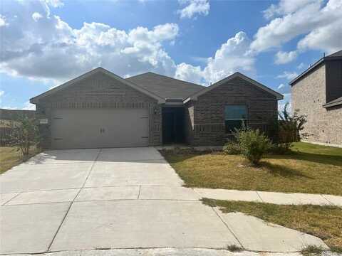 124 Bandana Circle, Newark, TX 76071