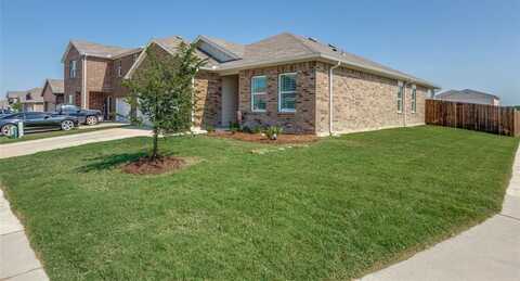 704 Cherry Blossom Street, Anna, TX 75409