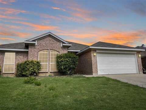 1006 Thistle meade Drive, Burleson, TX 76028