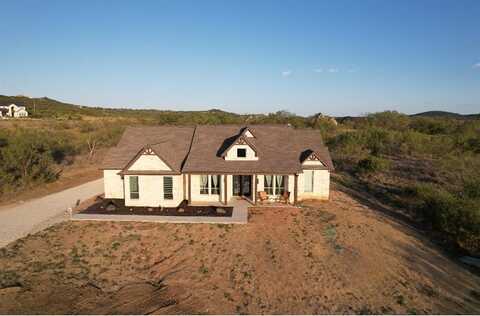 288 Cinnamon Teal Drive, Graford, TX 76449