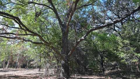 Tbd FM 1806 Street, Montague, TX 76251