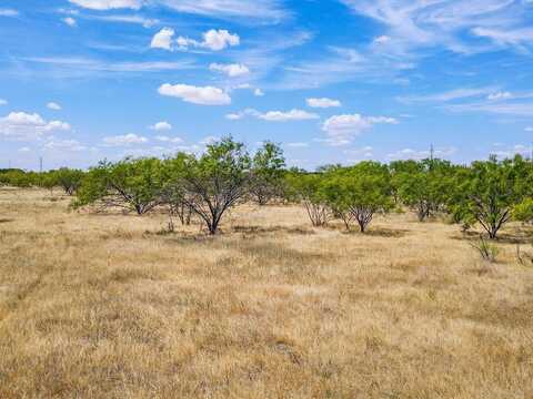 0000/Tbd Hcr-2128, Whitney, TX 76692