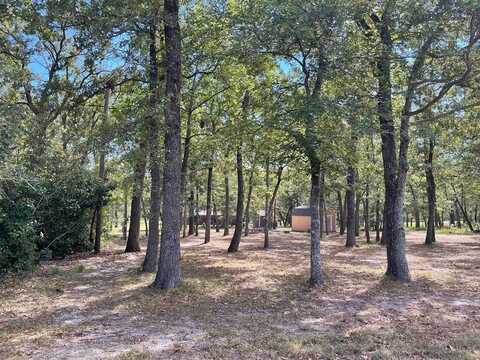 Lot 15 Susan Grove Boulevard, Streetman, TX 75859