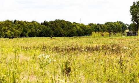 320 County Road 4840, Leonard, TX 75452
