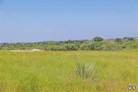 Lot 2 8288 County Road 329, Blanket, TX 76432