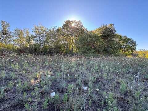 Tbd Mason Court, Dublin, TX 76446