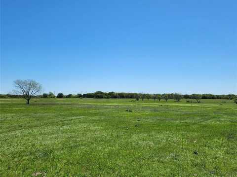 Tbd County Road 335, Ranger, TX 76470