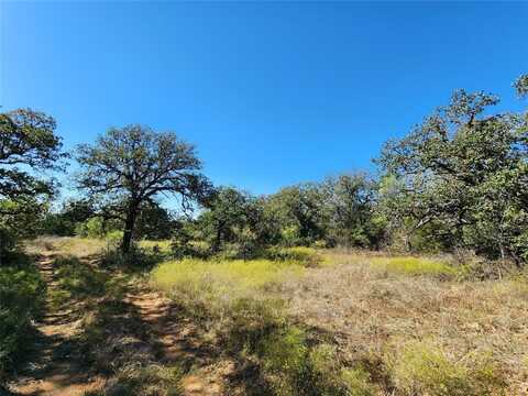 Tbd County Road 132, Brownwood, TX 76801