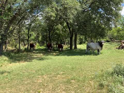 10051 County Road 321, Blanket, TX 76432