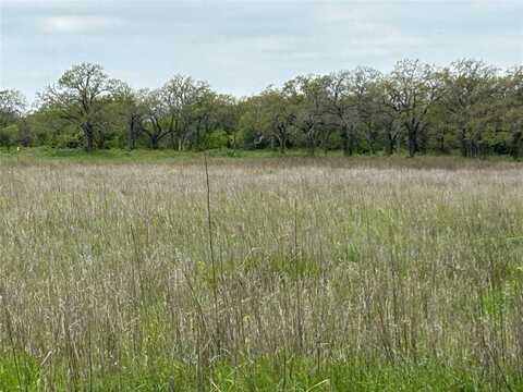 234 County Road 266, Rising Star, TX 76471