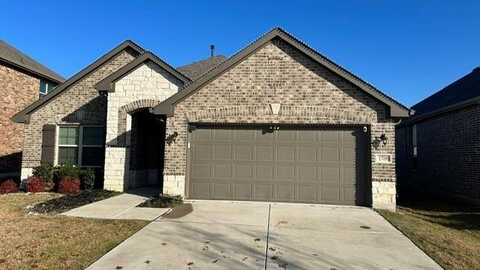 1709 Steppe Trail Drive, Aubrey, TX 76227