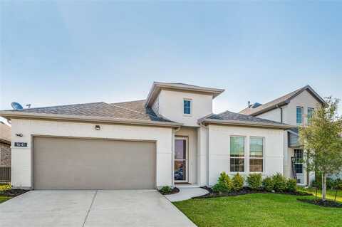 1641 Cloud Cover View, Weston, TX 75009