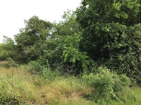 22262 Whispering Meadow Drive, Whitney, TX 76692