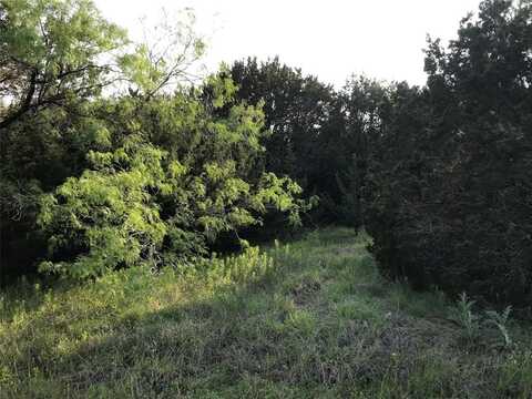 23077 Oak Ridge Drive, Whitney, TX 76692