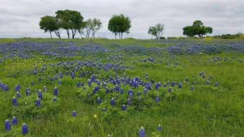 Tbd FM 513 S, Lone Oak, TX 75453