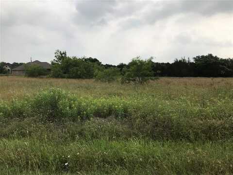 22131 Stanwood Drive, Whitney, TX 76692