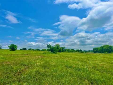 Lot 4 & 5 Clare Rd, Poolville, TX 76487