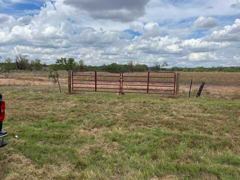 8648 Fm 2287, Cross Plains, TX 76443