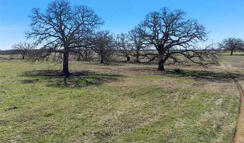 Tbd 2 HCR 2124 Loop, Whitney, TX 76692