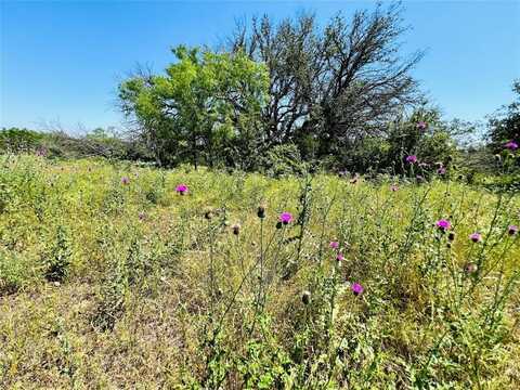 1073 Pr 6116, Hamilton, TX 76531