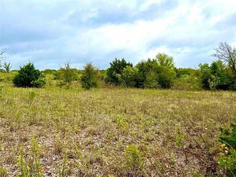 Tbd CR-2117, Gainesville, TX 76240