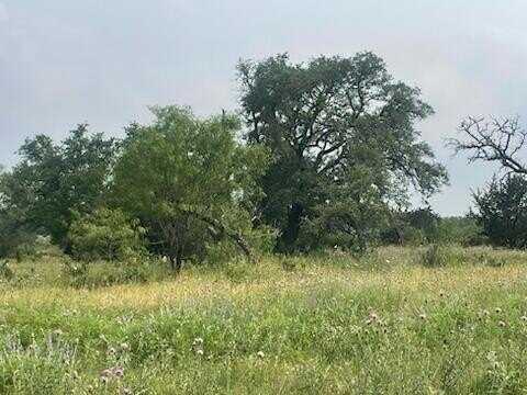 Lot 175 Cross Timber Ranch Drive, Lampasas, TX 76550