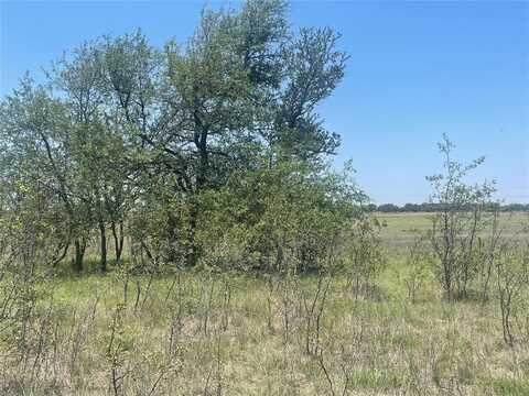 Tbd CR 338, Goldthwaite, TX 76844