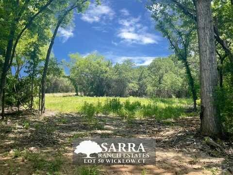 Lot 50 Wicklow Court, Poolville, TX 76487