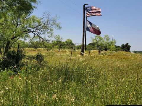 19069 Highway 6, Gorman, TX 76454