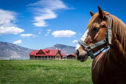 41 Carter Mountain Rd, Cody, WY 82414