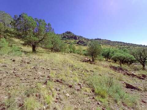 519 Squaw Valley Trail, Fort Davis, TX 79734