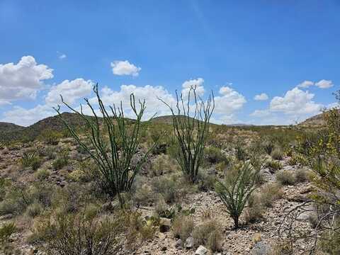 6596 Onyx Dr., Terlingua, TX 79852