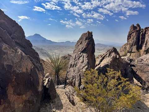 TR 174 Gate 2 Road, Terlingua, TX 79852