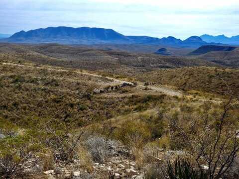 TR: 6393 Cedar Springs Road, Terlingua, TX 79852