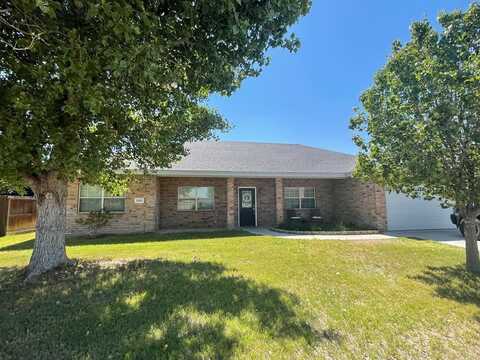 1603 S Leon, Monahans, TX 79756