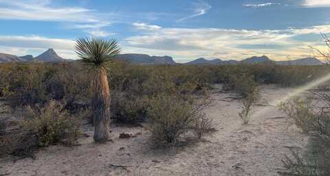 96 Redford, Terlingua, TX 79852