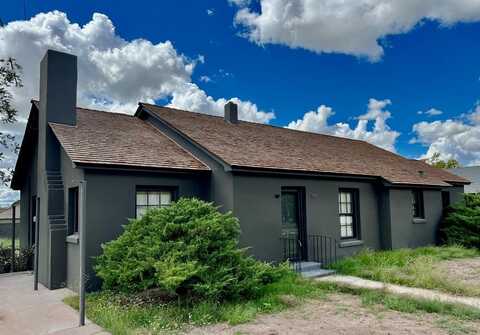 307 N Mesa St, Marfa, TX 79843