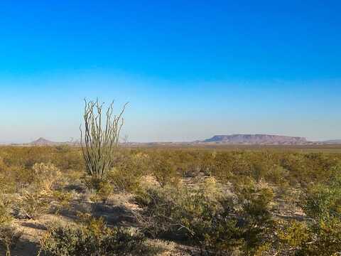 25-3 S Hwy 118, Alpine, TX 79830