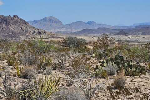 450 Saw Mill Road, Terlingua, TX 79852