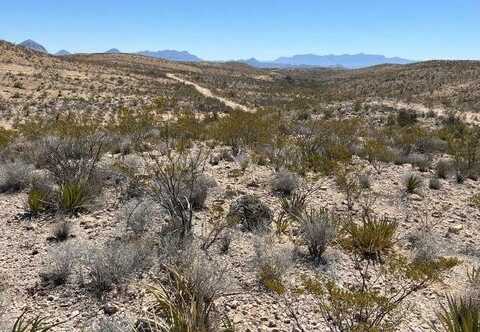 24310 Blue Ridge Rd., Terlingua, TX 79852