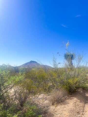 800 Antonio Road, Terlingua, TX 79852