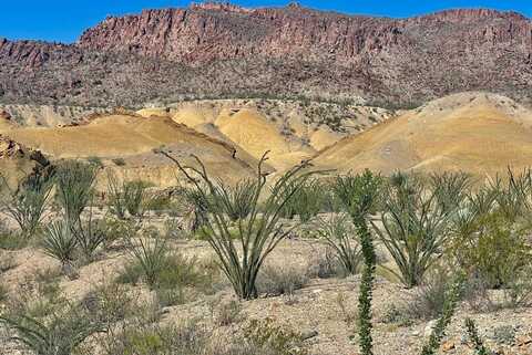 TR:184A Gate 2 Road, Terlingua, TX 79852