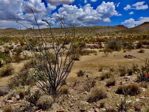 10820 Terlingua Ranch Rd, Terlingua, TX 79852