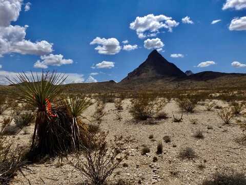 10820 Terlingua Ranch Rd, Terlingua, TX 79852