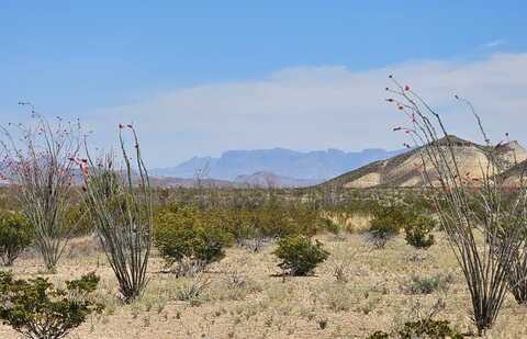 130 Blue Ridge Rd., Terlingua, TX 79852