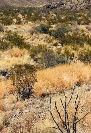 TBD TBD, Terlingua, TX 79852